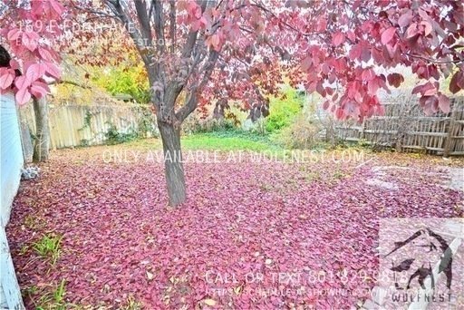 Beautiful 2+ Bed Downtown Home! No Deposit Option! property image