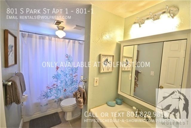 Amazing 1 Bed Downtown Apt! No Deposit Option! property image