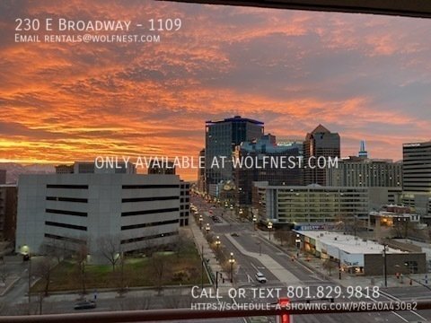 Remodeled 2 Bed Downtown Living Condo! No Deposit Option! property image