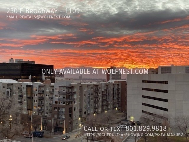 Remodeled 2 Bed Downtown Living Condo! No Deposit Option! property image