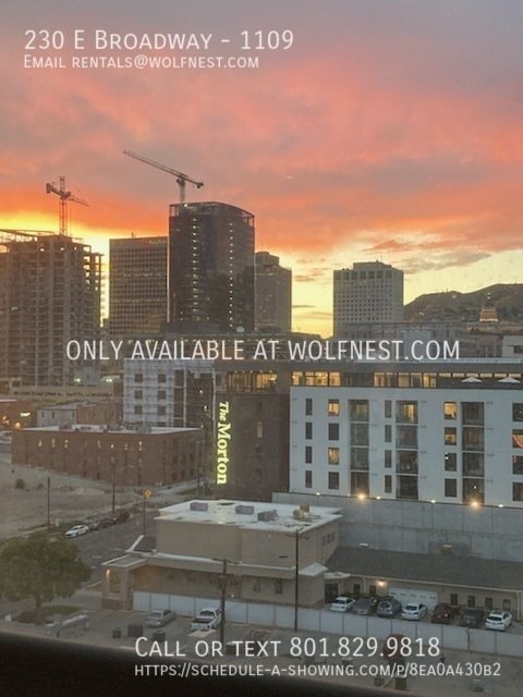 Remodeled 2 Bed Downtown Living Condo! No Deposit Option! property image