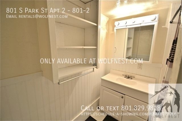 Stunning 1 Bed Downtown Apt! No Deposit Option! property image