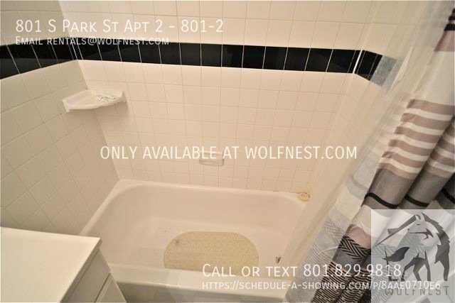 Stunning 1 Bed Downtown Apt! No Deposit Option! property image