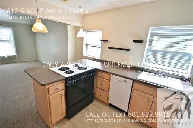 Beautiful 1 Bed Downtown Apt! No Deposit Option! property image
