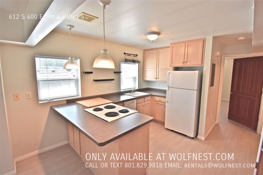 Beautiful 1 Bed Downtown Apt! No Deposit Option! property image