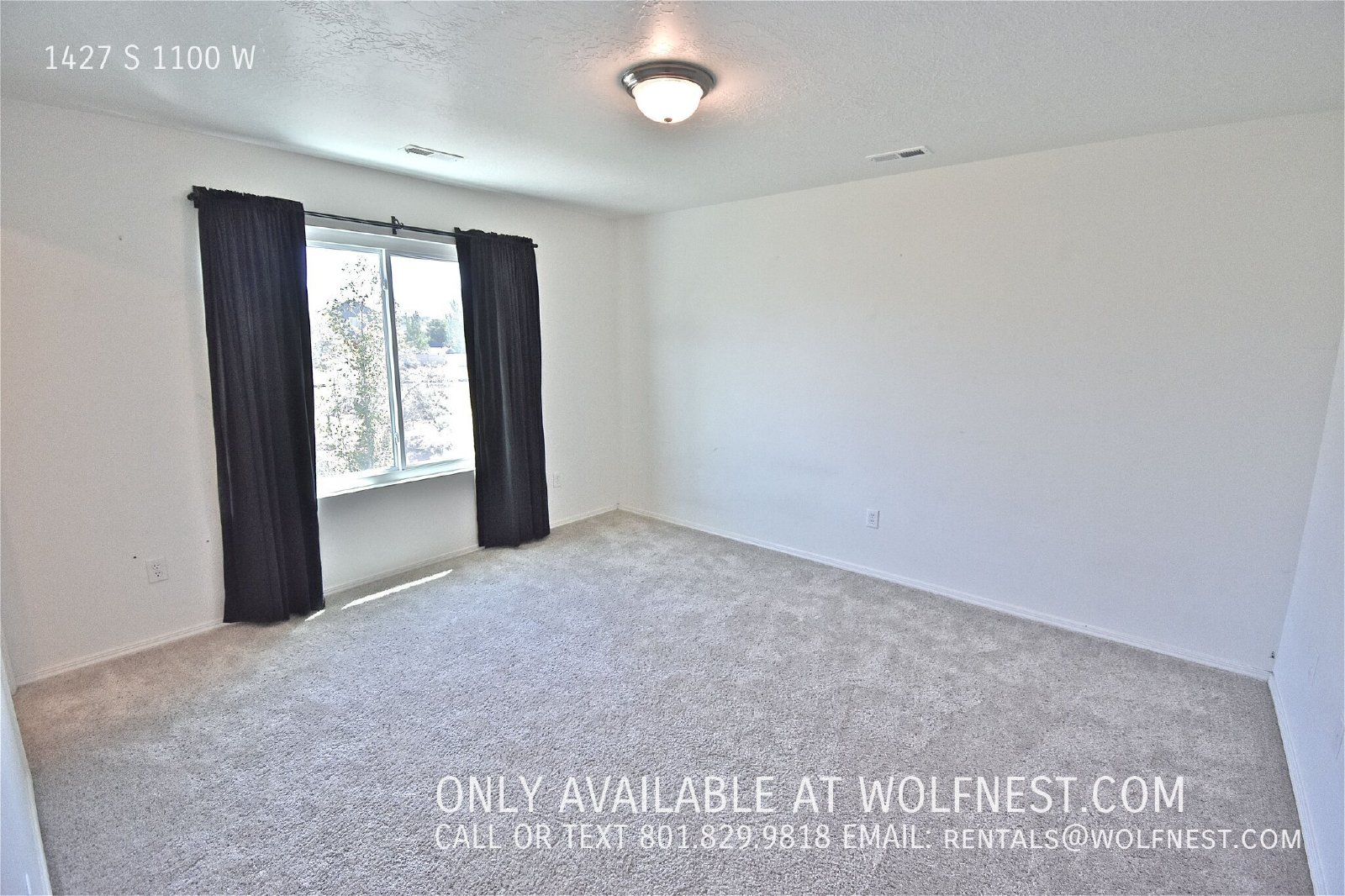 Gorgeous 5 Bed / 2.5 Bath Springville Home! property image