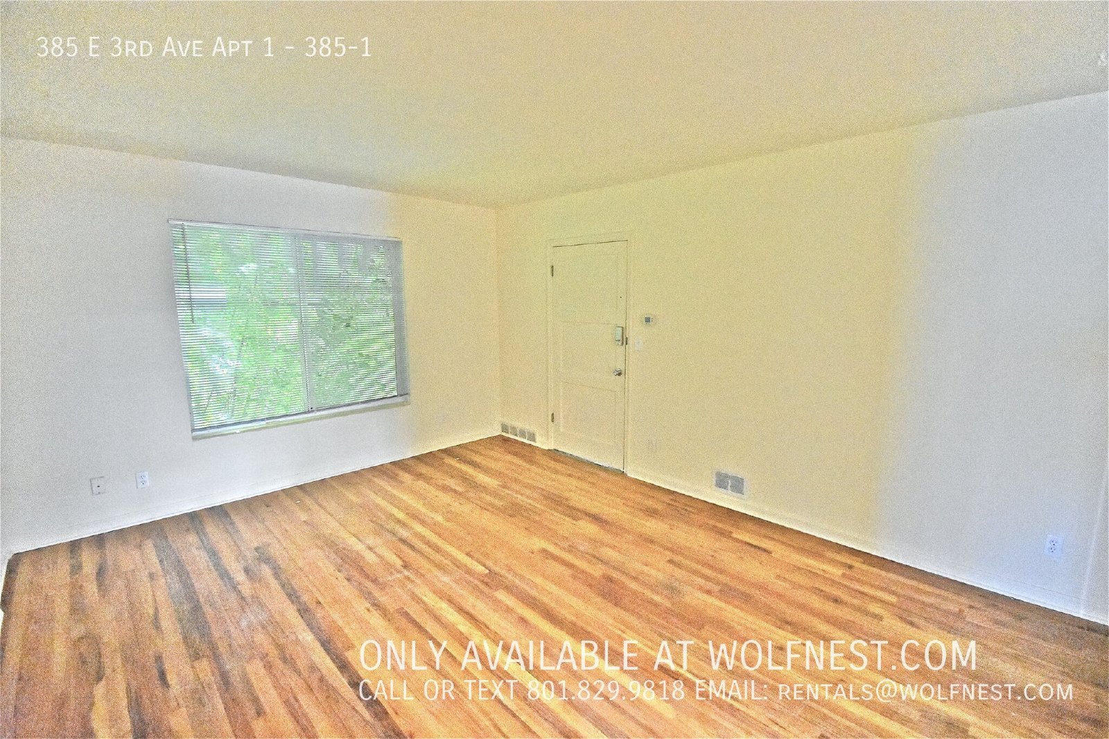 Remodeled 2 Bed Avenues Apartment! property image
