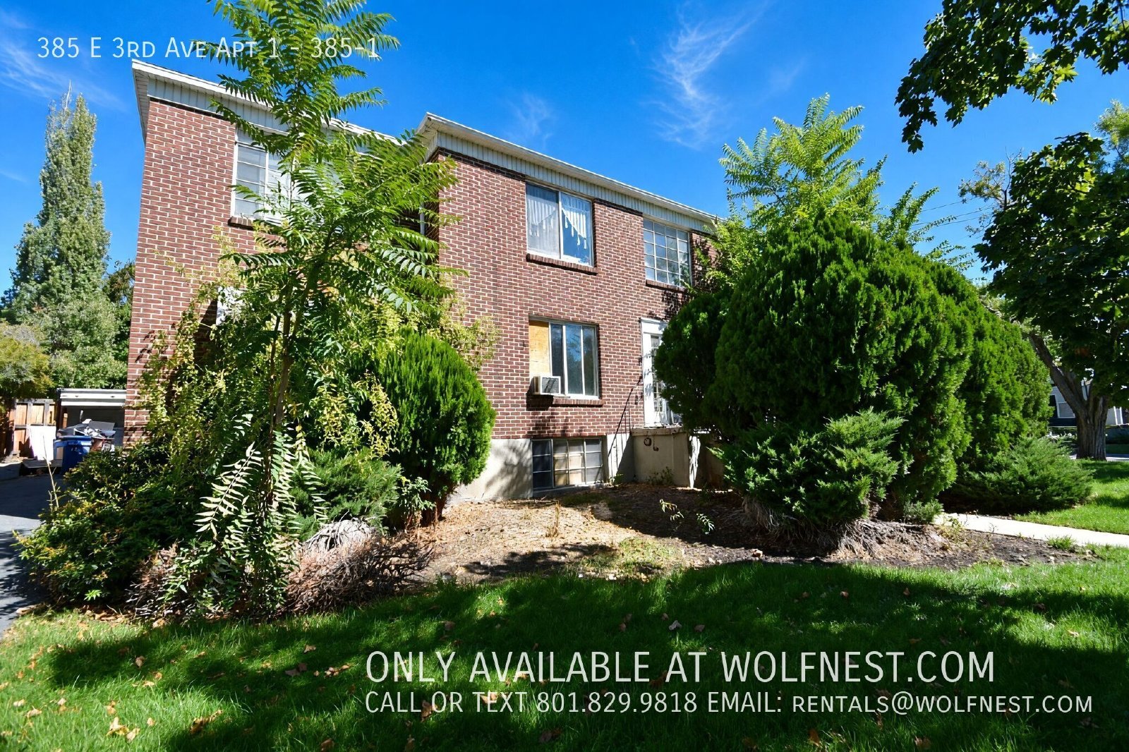 Remodeled 2 Bed Avenues Apartment! property image