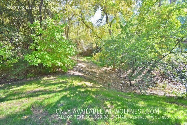 NO DEPOSIT OPTION AVAILABLE! $250 Off 1st Month! property image