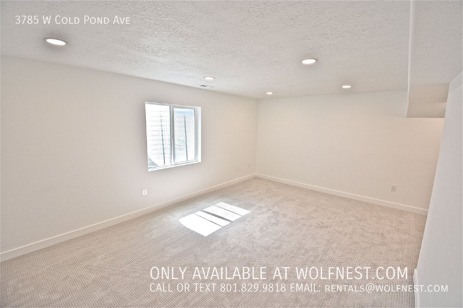 Spacious 4 Bed Lehi Home! NO DEPOSIT OPTION AVAILABLE! property image