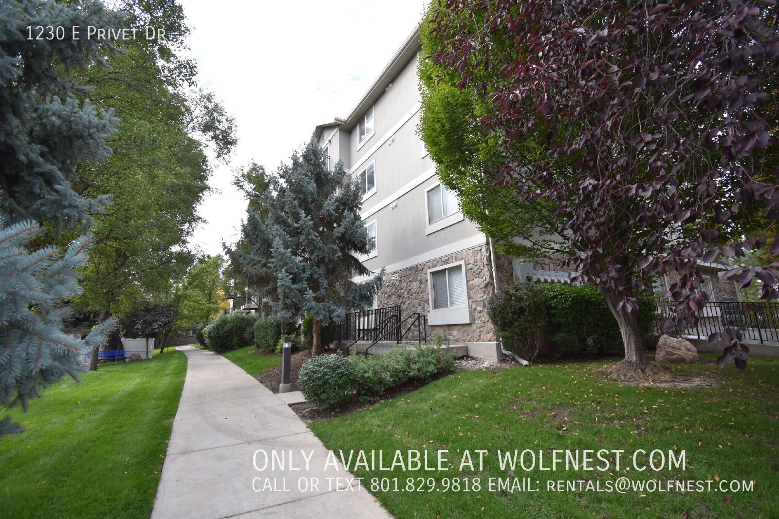 NO DEPOSIT OPTION AVAILABLE!! $450 Off 1st Month! property image