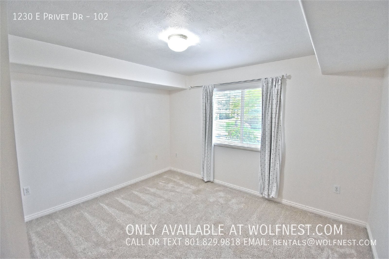 NO DEPOSIT OPTION AVAILABLE!! $450 Off 1st Month! property image