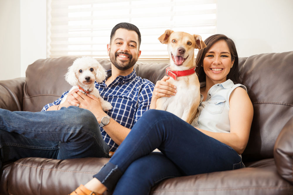 Why Owners Should Allow Pets in their Rental Properties