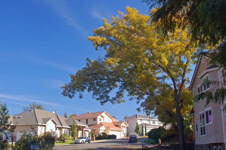 Top Neighborhoods for Rentals in Ogden