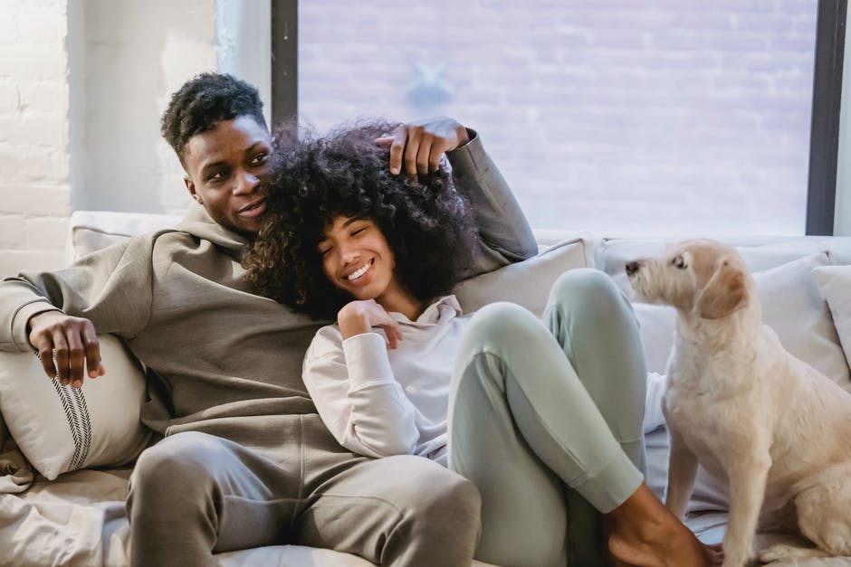 Should You Allow Pets in Your Rental Property?
