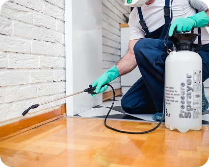 Pest Control & Preventative Care in Utah’s Climate